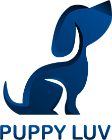 3d-Gradient-log_1-min